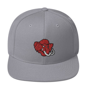 Mammoth - Snapback Hat